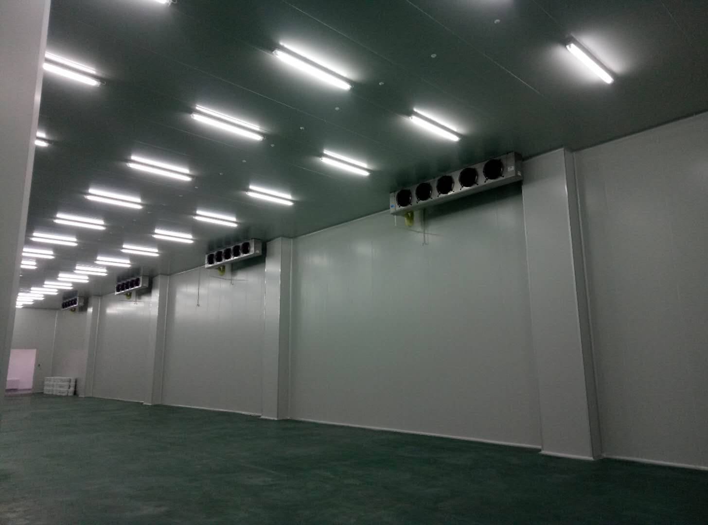 建造-35℃～-40℃急凍庫設計費用價格多少錢？