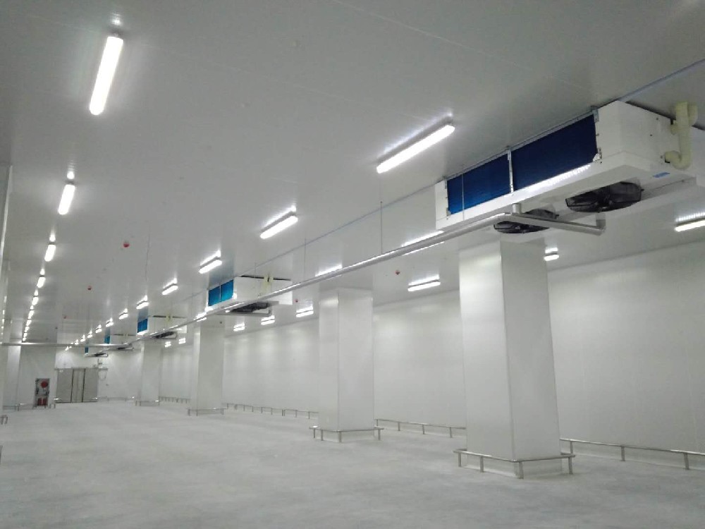 建造40000㎡低溫冷藏庫需要的費(fèi)用是多少？