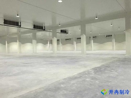 底下室建造1000平米冷凍庫，冷凍庫造價(jià)核算多少
